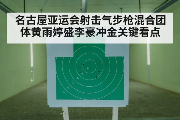 10m air rifle target