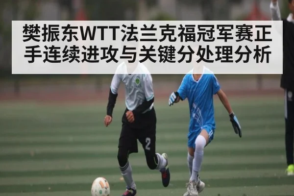 樊振东WTT法兰克福冠军赛正手连续进攻与关键分处理分析